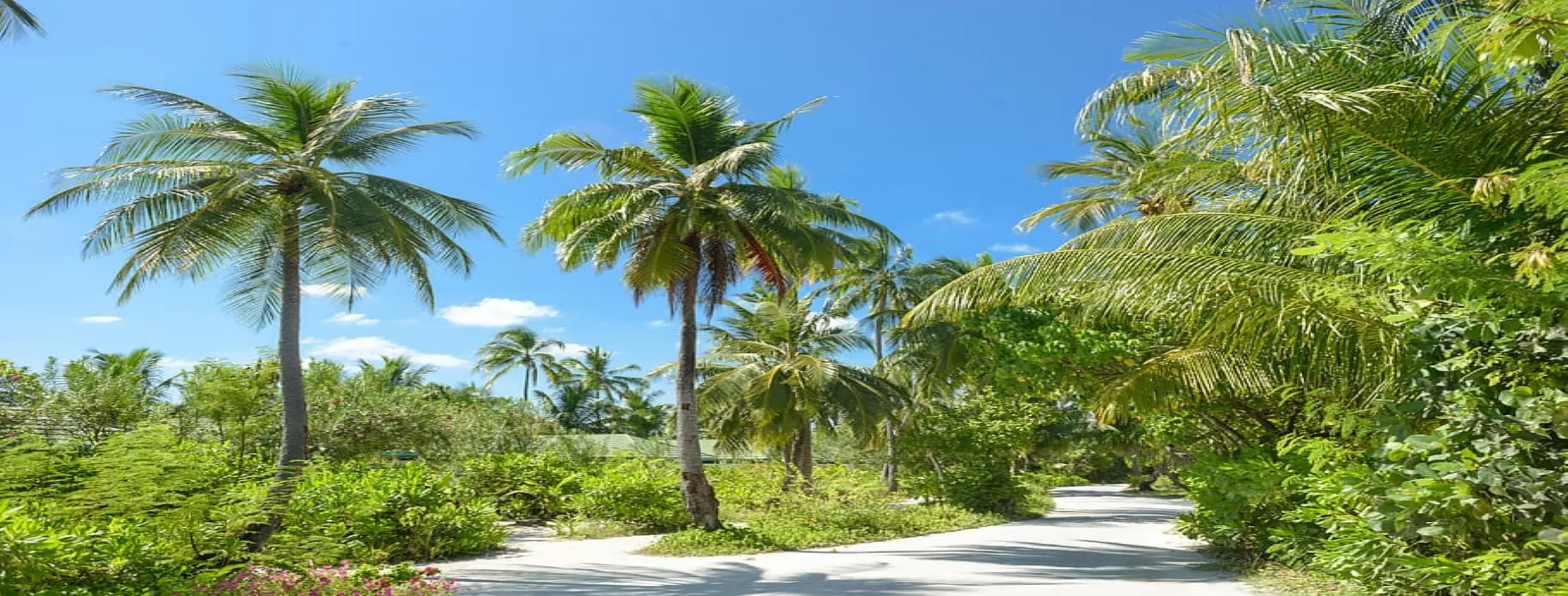 Image for Tropical Climate
